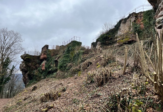 24-03-01 12-29-31 8869